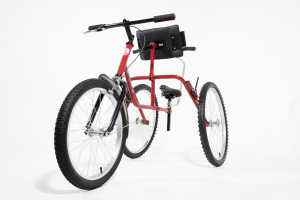 Трехколесный беговел-рейсранн «RUNION»